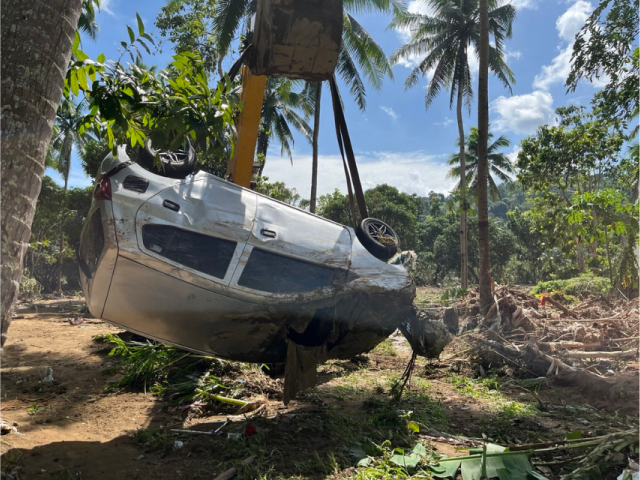 An upside down car surrounded by palm trees